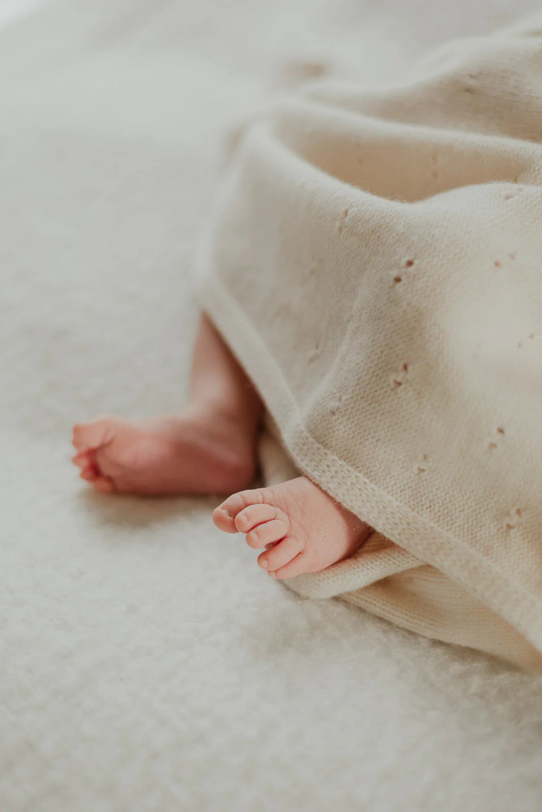 Over the Dandelions Merino Baby Knit Blanket - Ivory