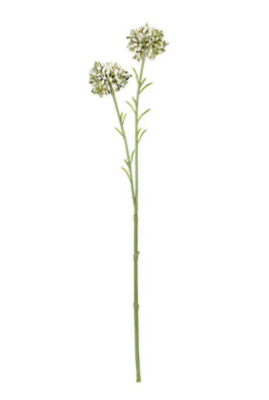 Flower Systems Mini Allium Cream 46cm