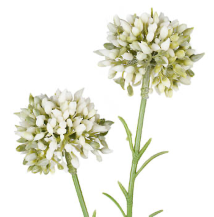 Flower Systems Mini Allium Cream 46cm