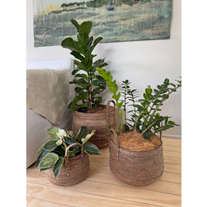 Nala Planter Basket with Handle