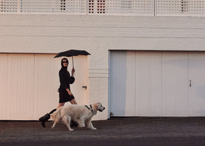 Blunt New Small Neo Umbrella