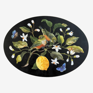 TANYA WOLFKAMP Oval Placemat set of 4 - NZ Birds