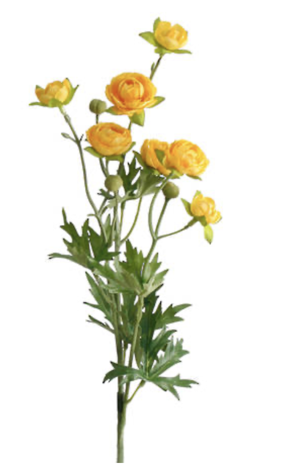 Petit Ranunculous Spray Yellow 56cm