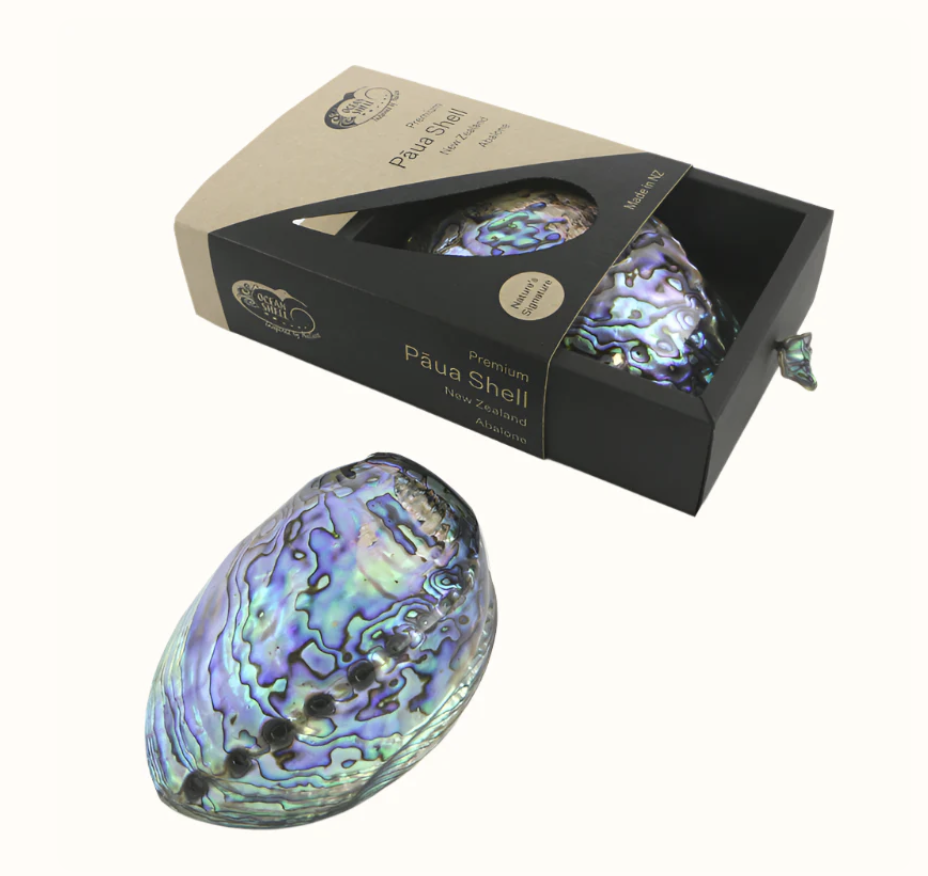 Ocean Shell Studio Premium Paua Shell Gift Box