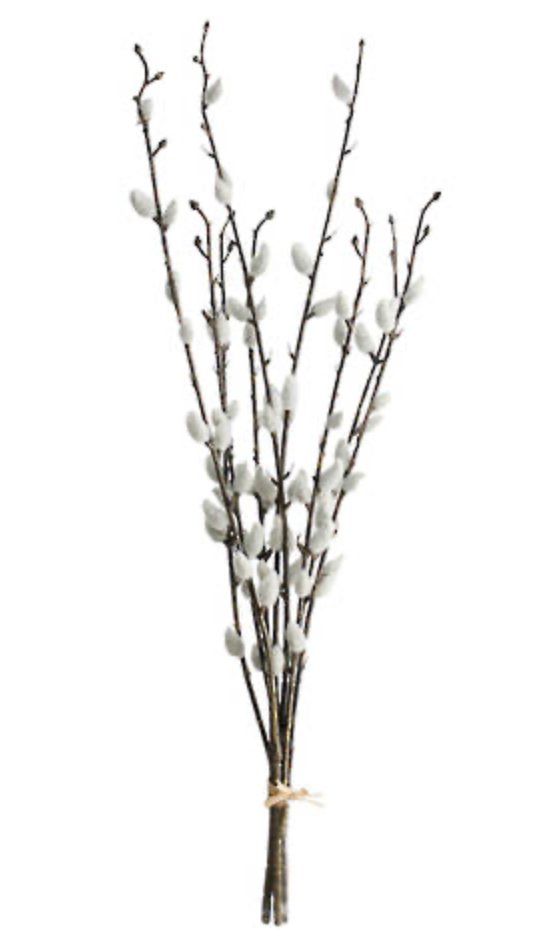 Pussy Willow Bundle x3 55cm