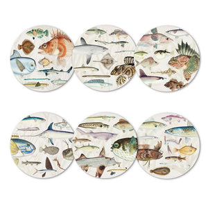 100% NZ Fishes of NZ Placemats Box of 6