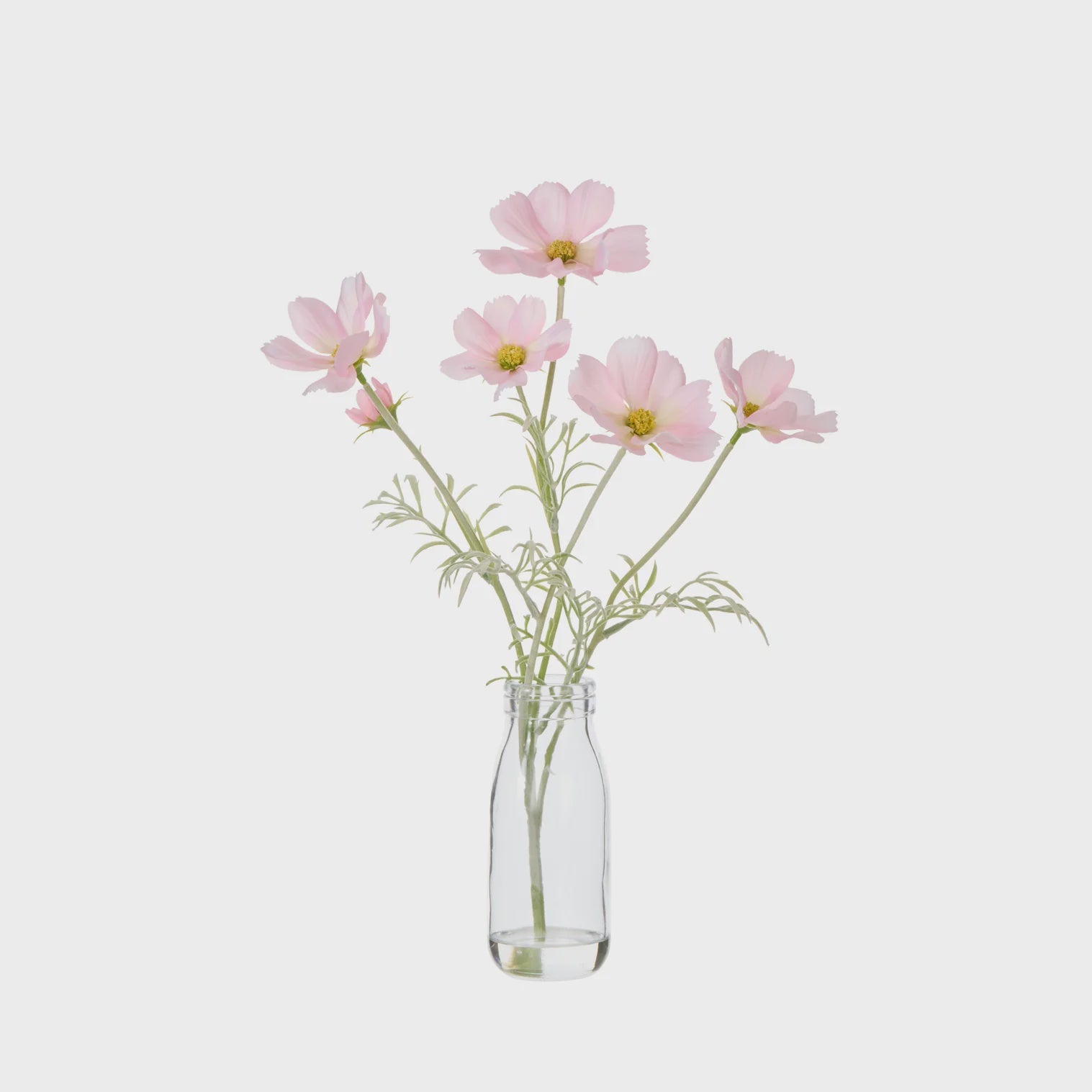 Rogue Cosmos in Milk Bottle Pink Clear glass vase with pink flowers