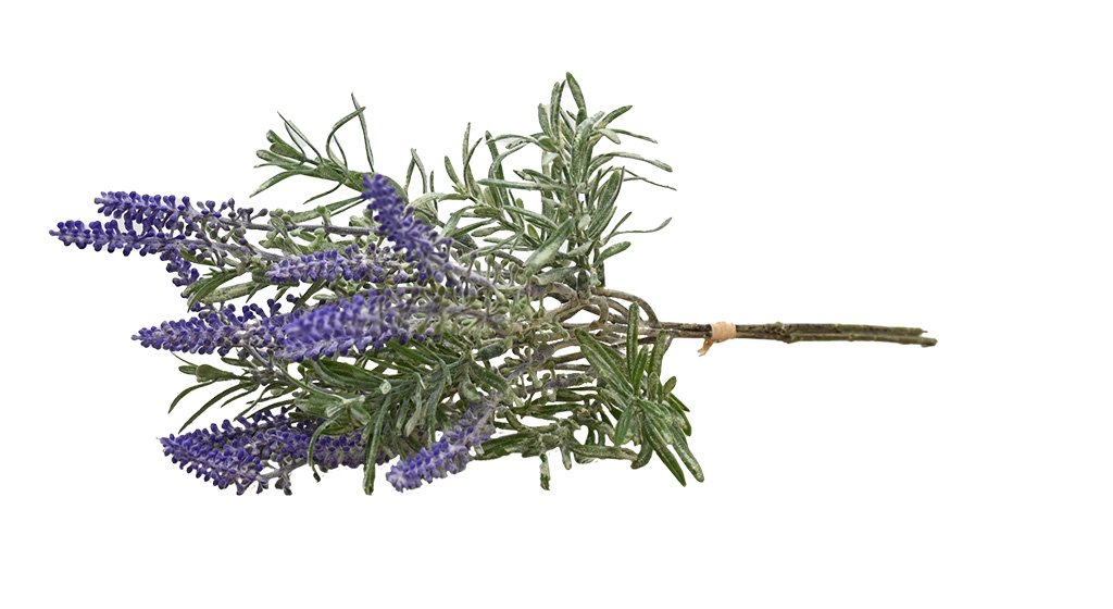 Artificial lavender plant Tuscan Lavender Bundle