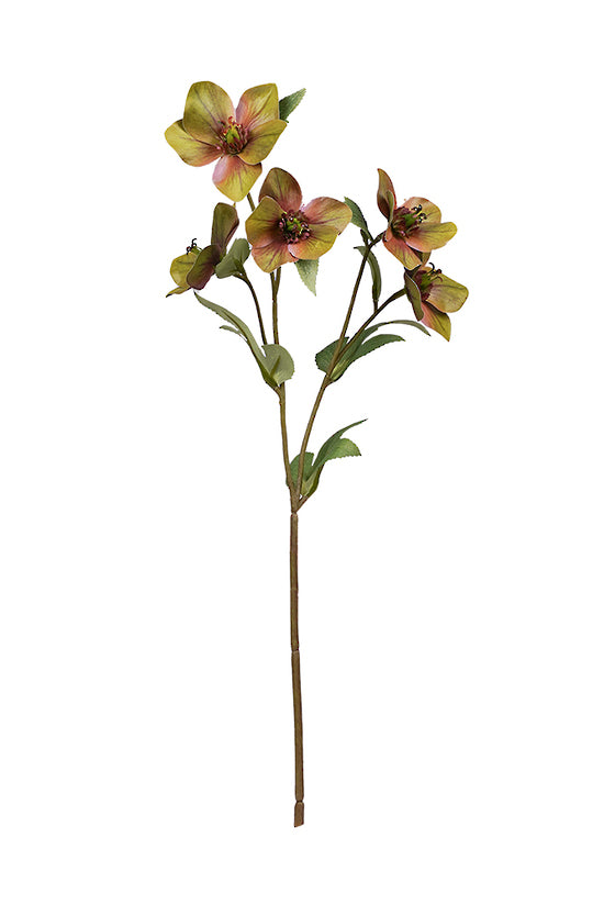 Flower Systems Hellebore Spray 47cm Green