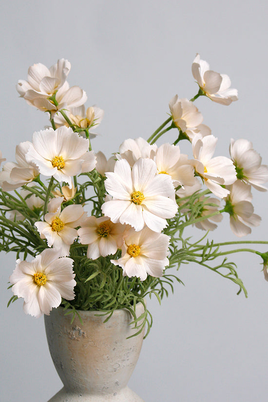 Flower Systems Cosmos Spray 62cm Lt Peach