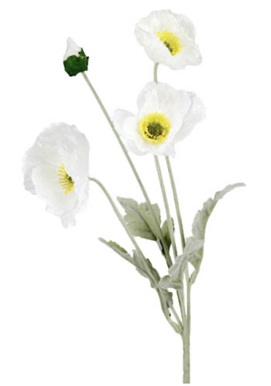 Iceland Poppy Spray 62cm White
