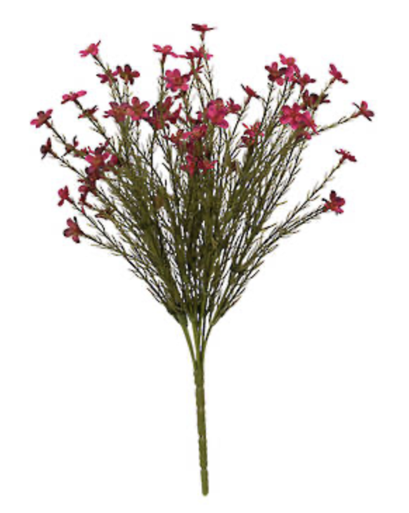 Wax Flower Bush 40cm Magenta