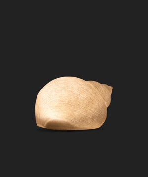 French Country Collection Snail Shell Decorative Light Up