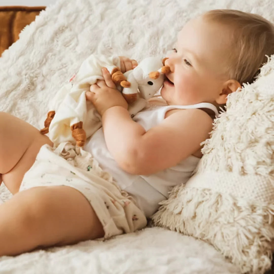 Sophie the Giraffe Comforter & Soother Holder