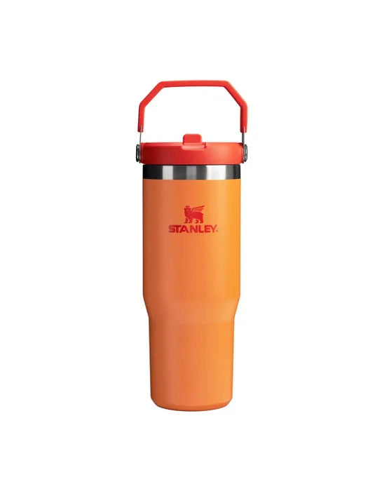 Stanley IceFlow Flip Straw Tumbler 30oz