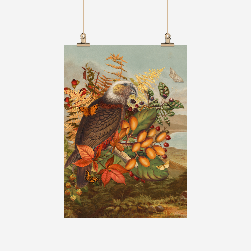 TANYA WOLFKAMP TEA TOWEL - VINTAGE - KAKA TWK-TT-003 style illustration of a bird perched on a branch with berries and leaves
