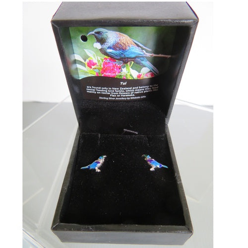 Wildside Gifts Tui Silver on stainless steel with enamel Stud Earring