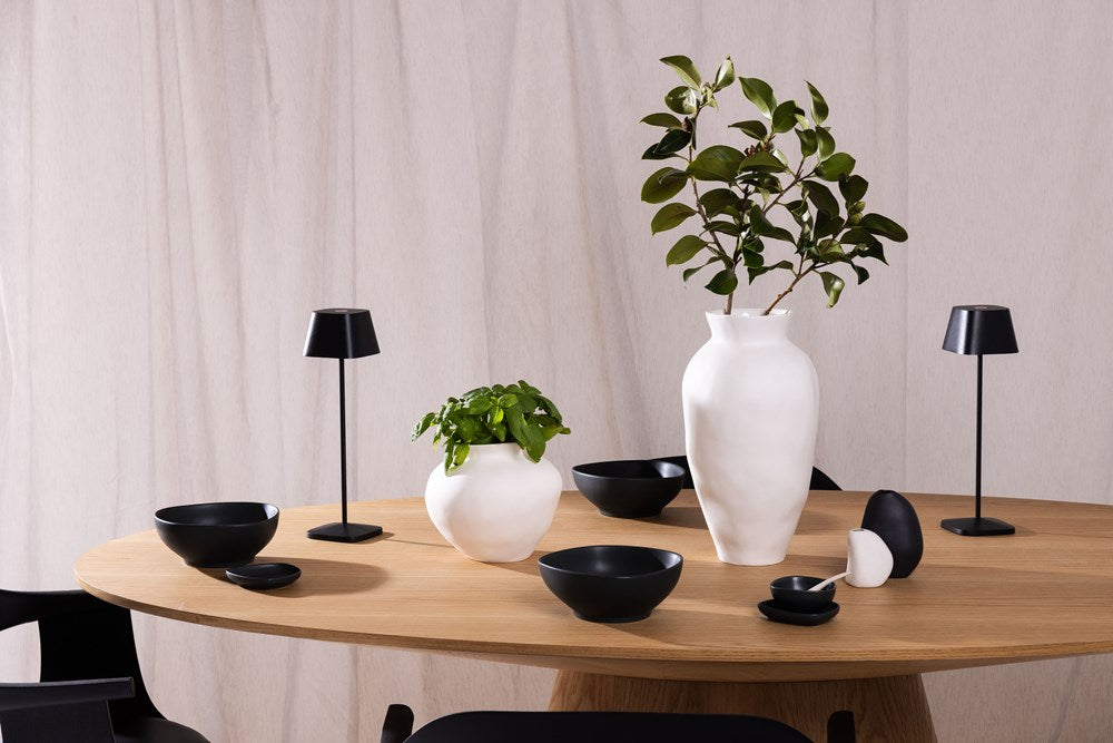 Venus Vase Ned Collections