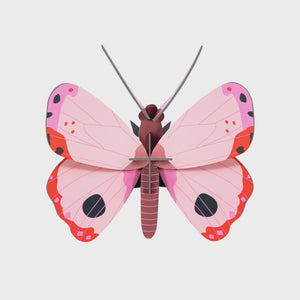 Studio Roof Wall Art Butterflies B7 - Rosora