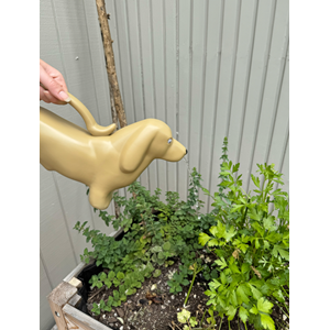 Watering Can Dachshund - TG132 Parnell+Co