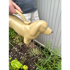 Watering Can Dachshund - TG132 Parnell+Co