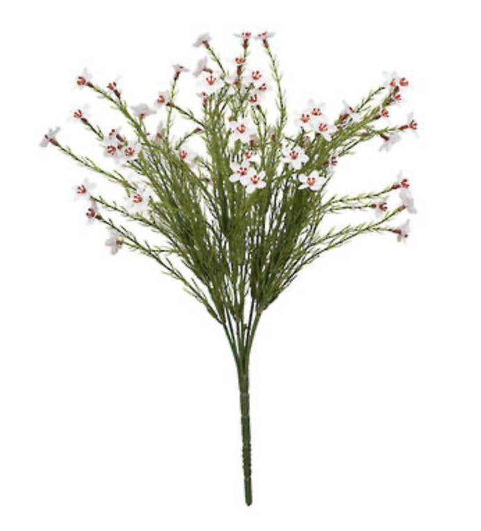 Wax Flower Bush 40cm Cream