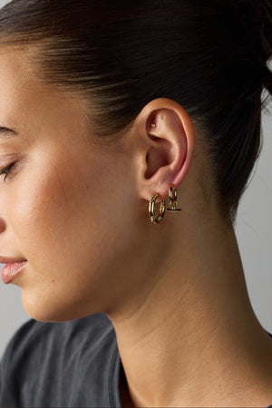 Zafino Winnie Hoop Essential Earrings - Gold