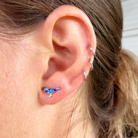 Wildside Gifts Tui Silver on stainless steel with enamel Stud Earring