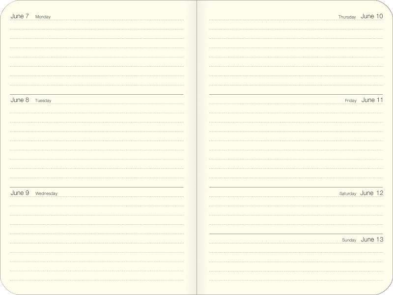 Cavallini & Co - Cats - 2027 Weekly Planner