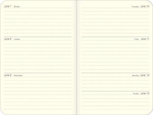 Cavallini & Co - Language Of Flowers - 2027 Weekly Planner