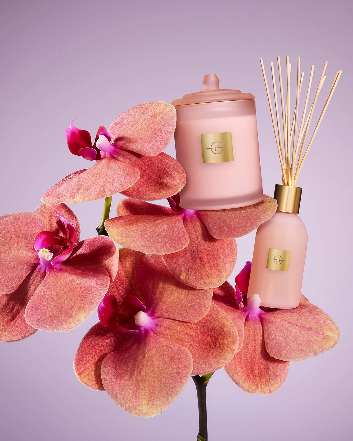 Glasshouse GF 250ml Diffuser - Radiance In Bloom 2026 Pink diffuser bottle with gold cap and floral packaging