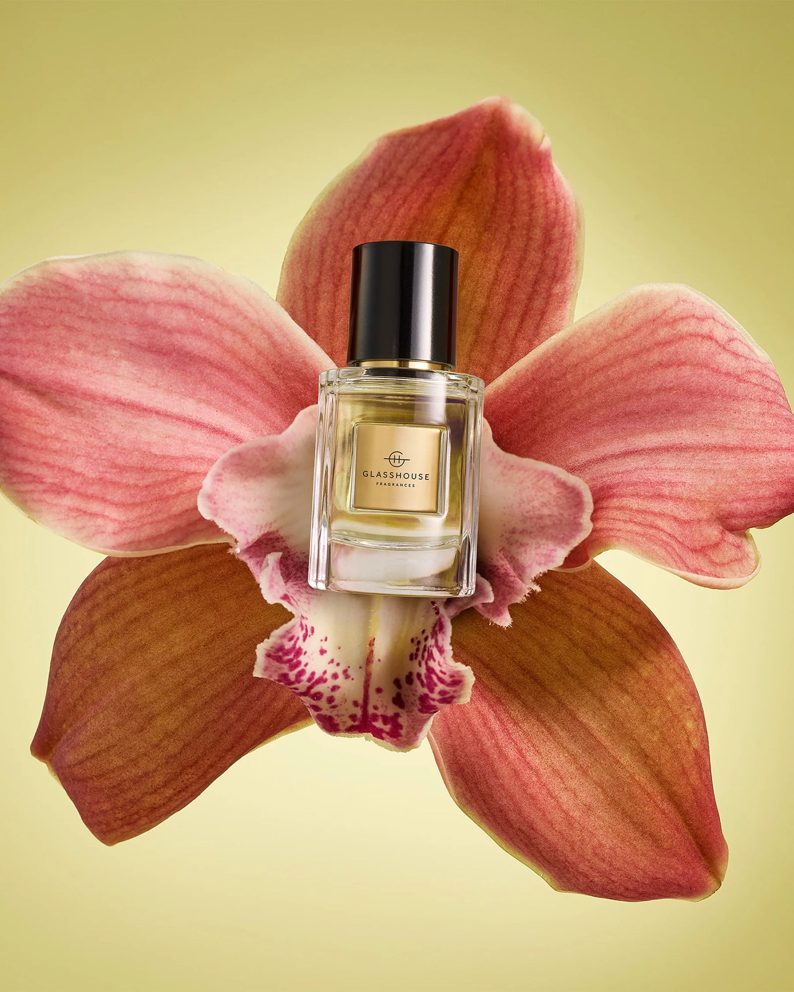Glasshouse Gf 30ml EDP - Tuberose Immortelle 2026 Perfume