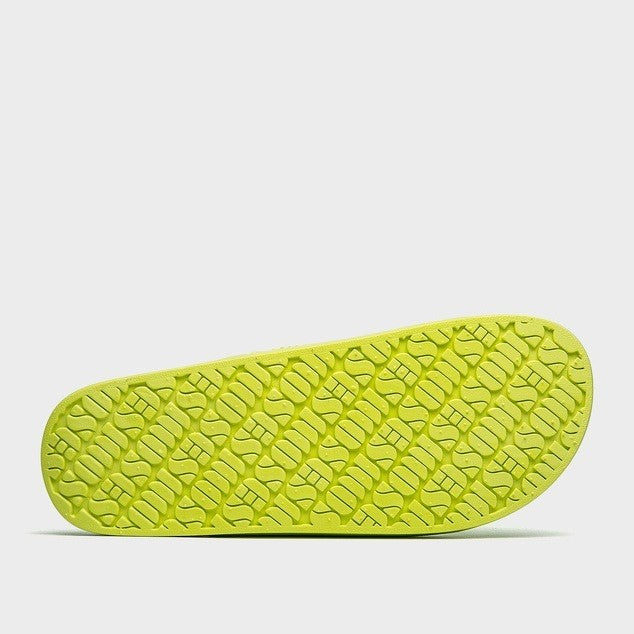 Freedom Moses Alice Slides