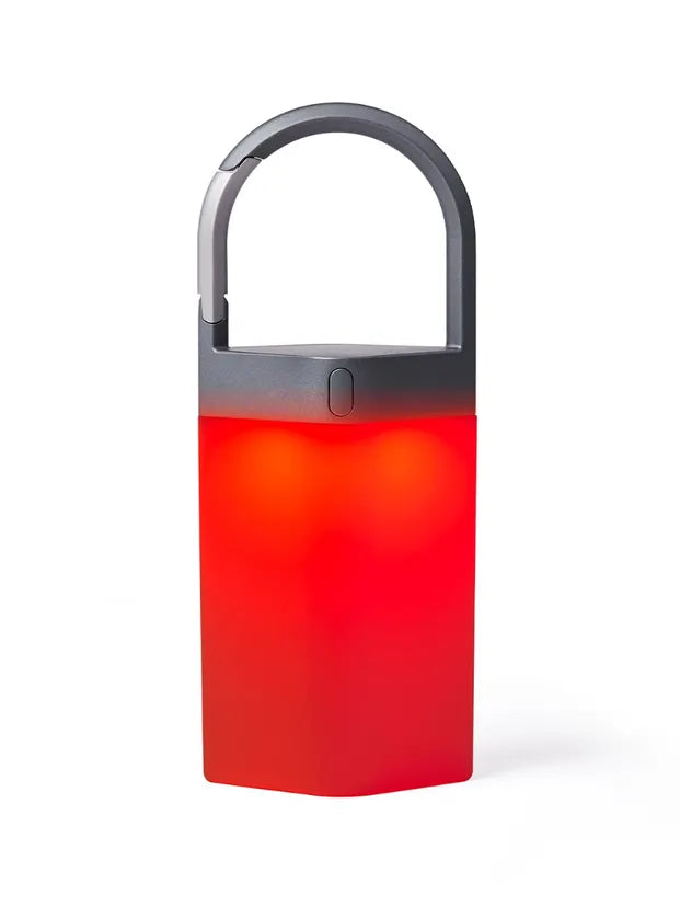 LEXON Metallic Grey Outdoor Portable lamp Horizon Hanglamp Gun