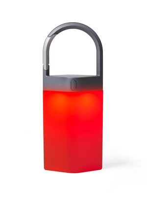 LEXON Metallic Grey Outdoor Portable lamp Horizon Hanglamp Gun