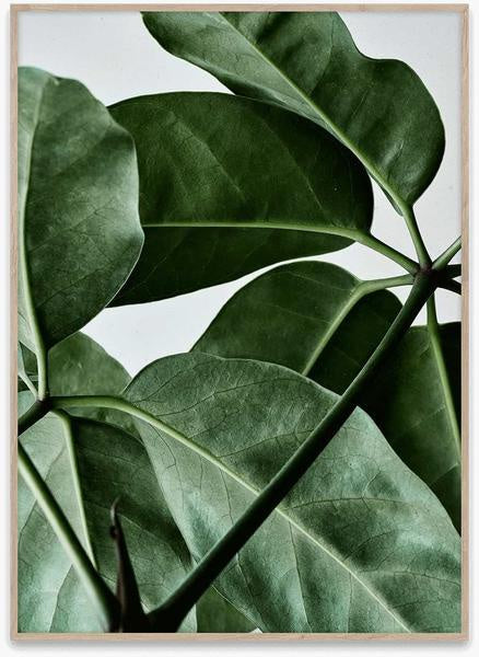 Paper Collective Green Home 01