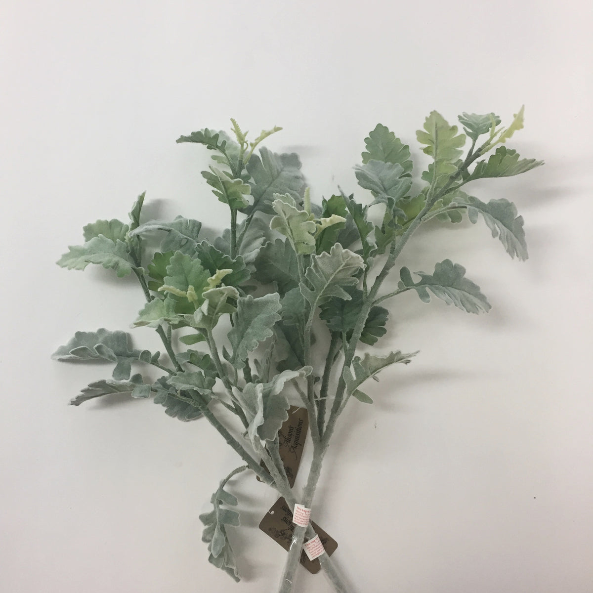 Dusty Miller Spray Alison's Acquisitions