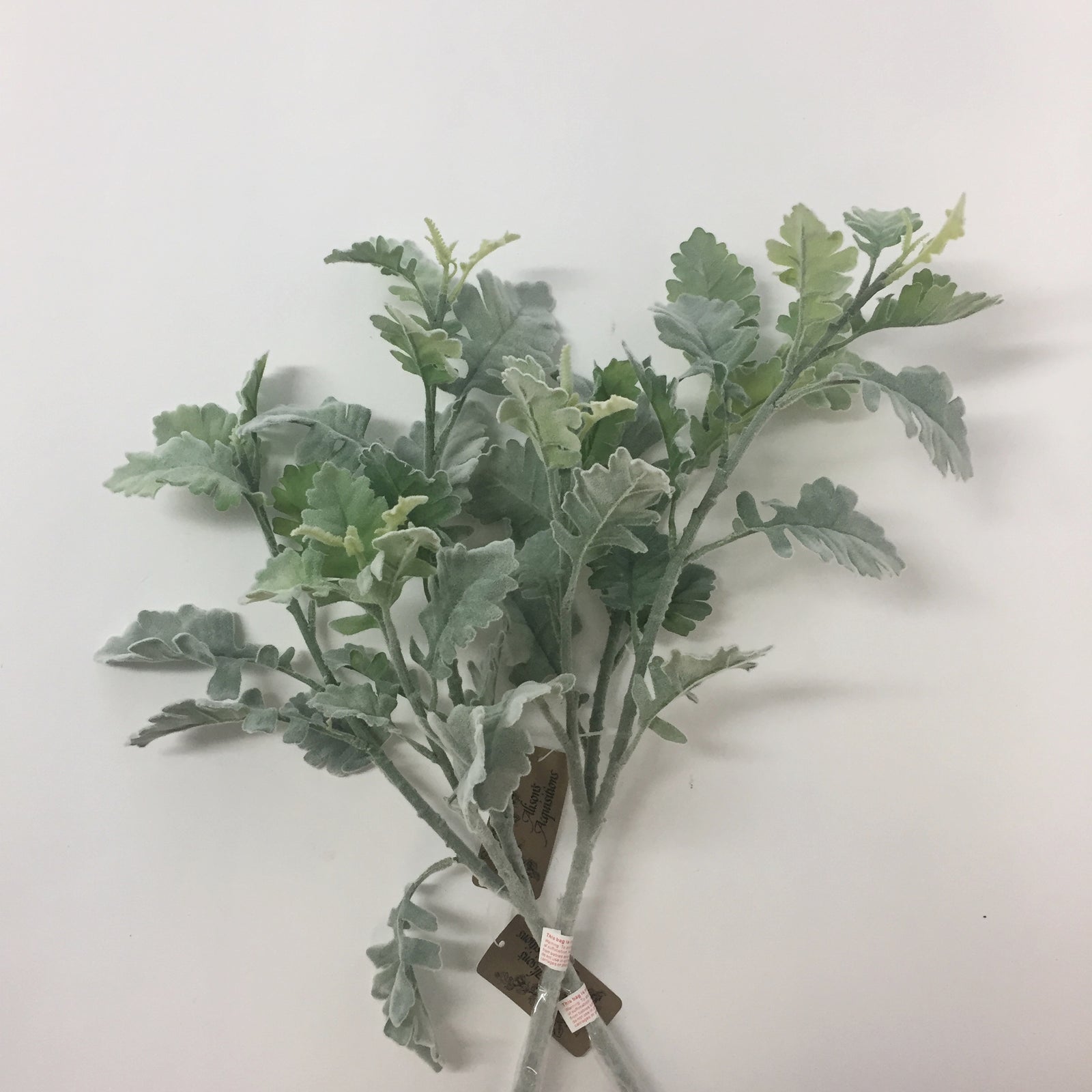 Dusty Miller Spray Alison's Acquisitions