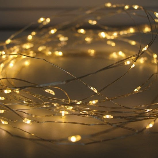 300 LED Seed Lights 3 meters